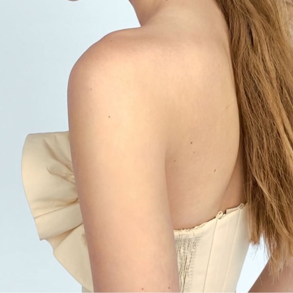 ZARA Floral Bustier Limited Edition BNWT - Picture 5 of 8